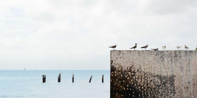 北京人力资源外包服务市场深度分析:国企、民企、外企需求差异与供应商选择策略