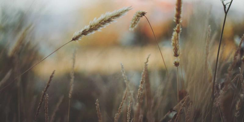 北京人力资源服务产业园政策红利解析：税收优惠与人才引进如何赋能企业培训、薪酬管理与劳务派遣