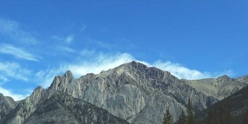 北京企业高管领导力发展项目设计：融合本土智慧与全球视野的培训体系