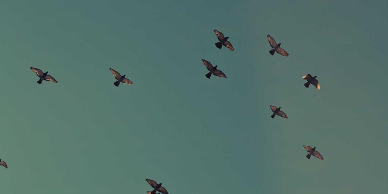 北京外资研发中心如何炼就人才磁石?解码国际薪酬、跨境派遣与本土生态融合之道