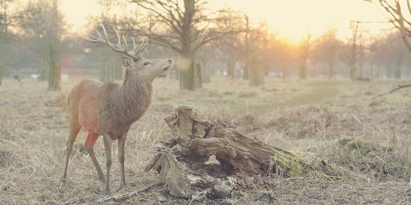 疏解浪潮下的企业抉择：北京非首都功能疏解中的人力资源合规路径与员工安置策略