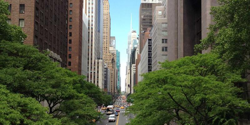 筑巢引凤:北京如何打造数字经济人才高地?紧缺岗位、技能提升与产教融合的破局之道