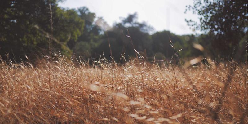 预算有限,如何破局?北京初创企业从0到1搭建人力资源体系的实战指南